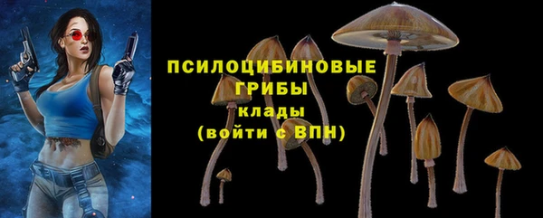 COCAINE Каменногорск