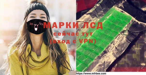 сатива Инта