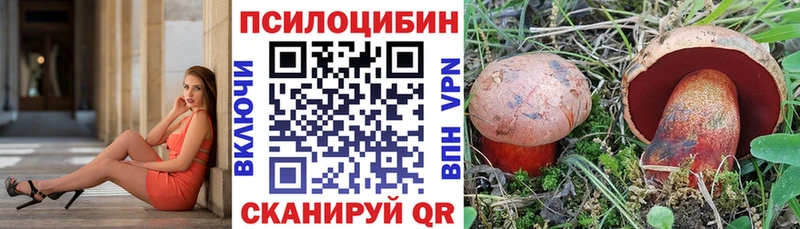 Купить закладки  Дигора  Галлюциногенные грибы Psilocybine cubensis 