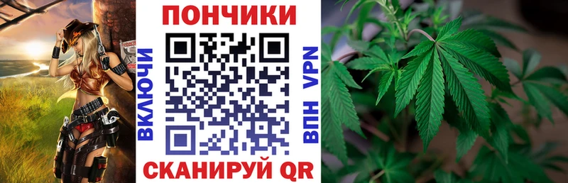 Купить  Дигора  МАРИХУАНА SATIVA & INDICA 